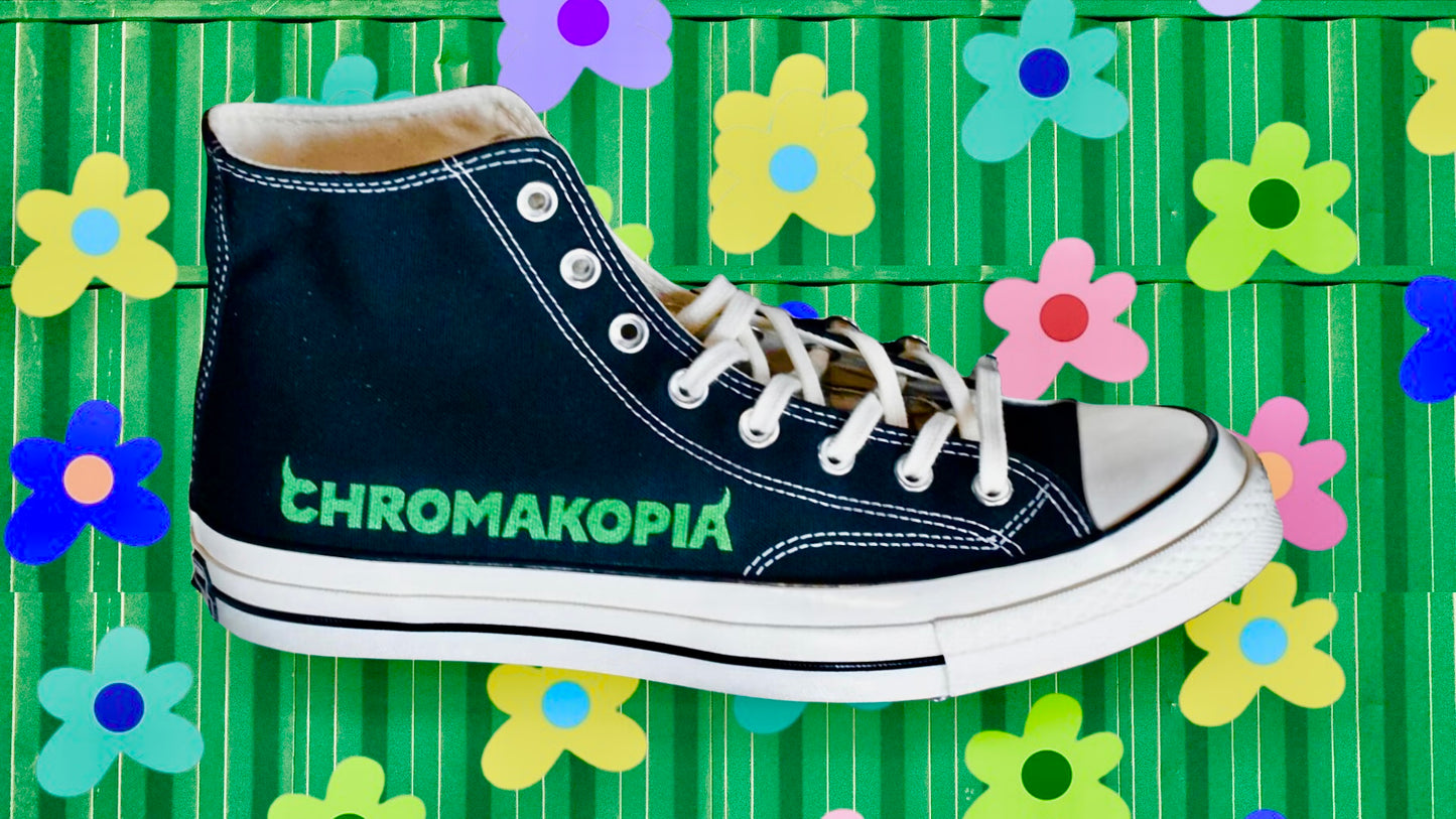 Tyler, The Creator - Converse Chuck Taylor All Star 70 Hi - Chromakopia (1/300)