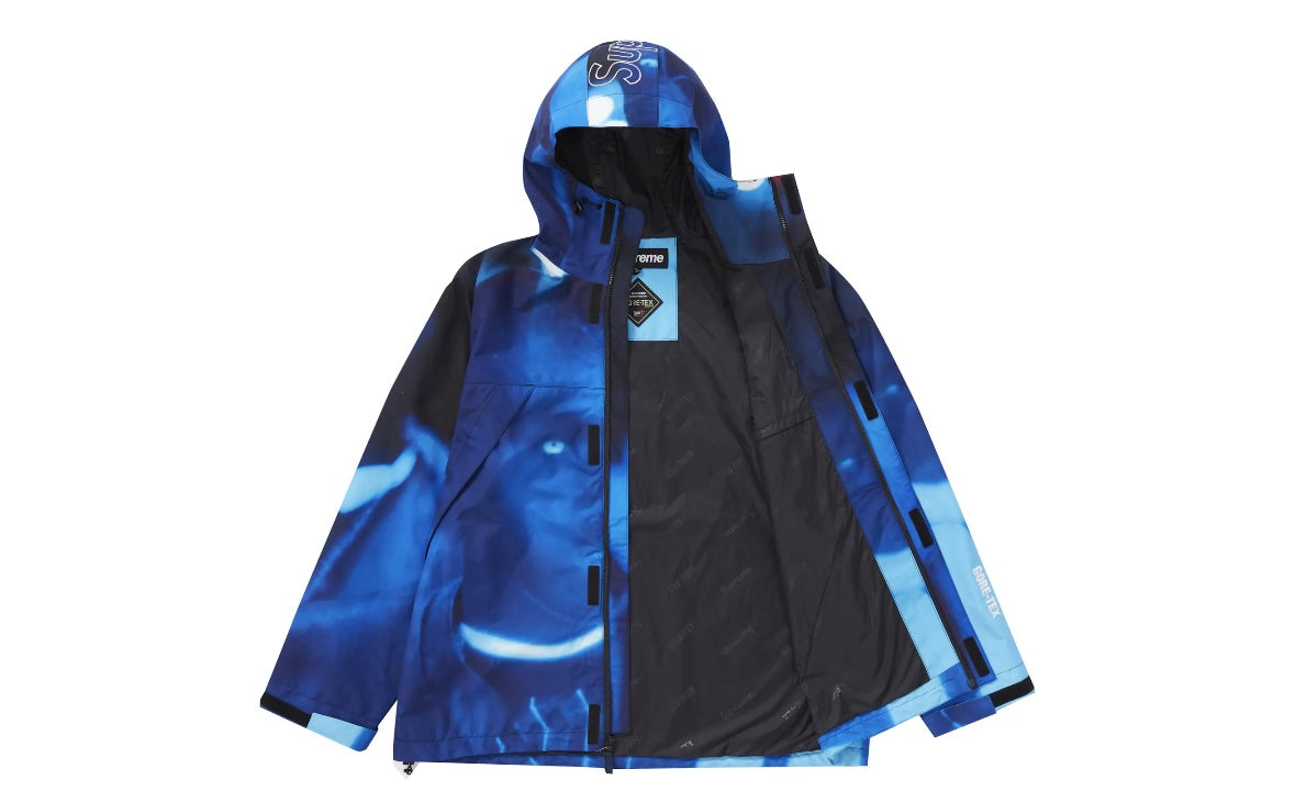 Supreme Nas and DMX GORE-TEX Shell Jacket