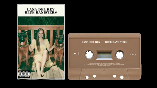 lana del rey - barandillas azules