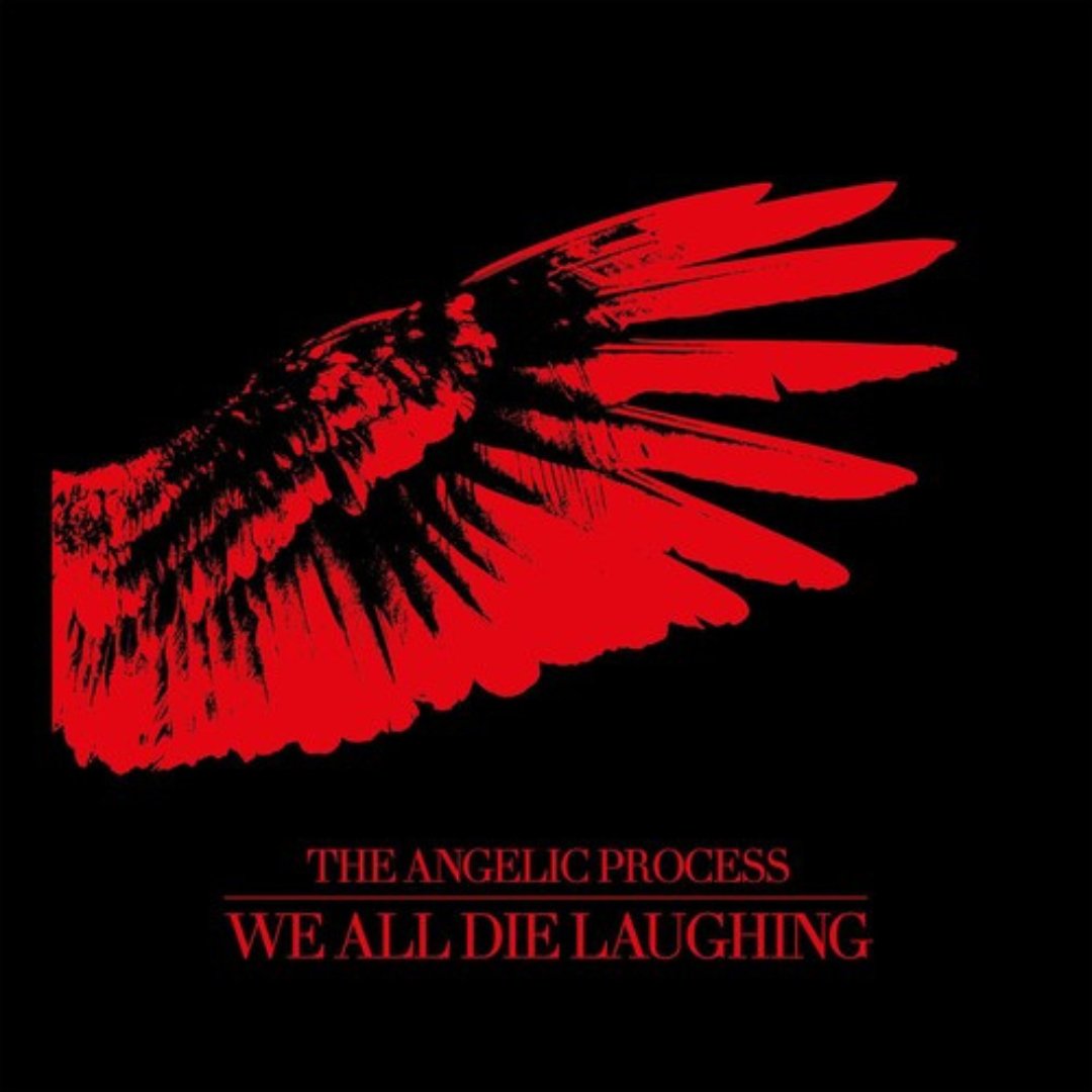 Angelic Process - We All Die Laughing Box Set - BeatRelease