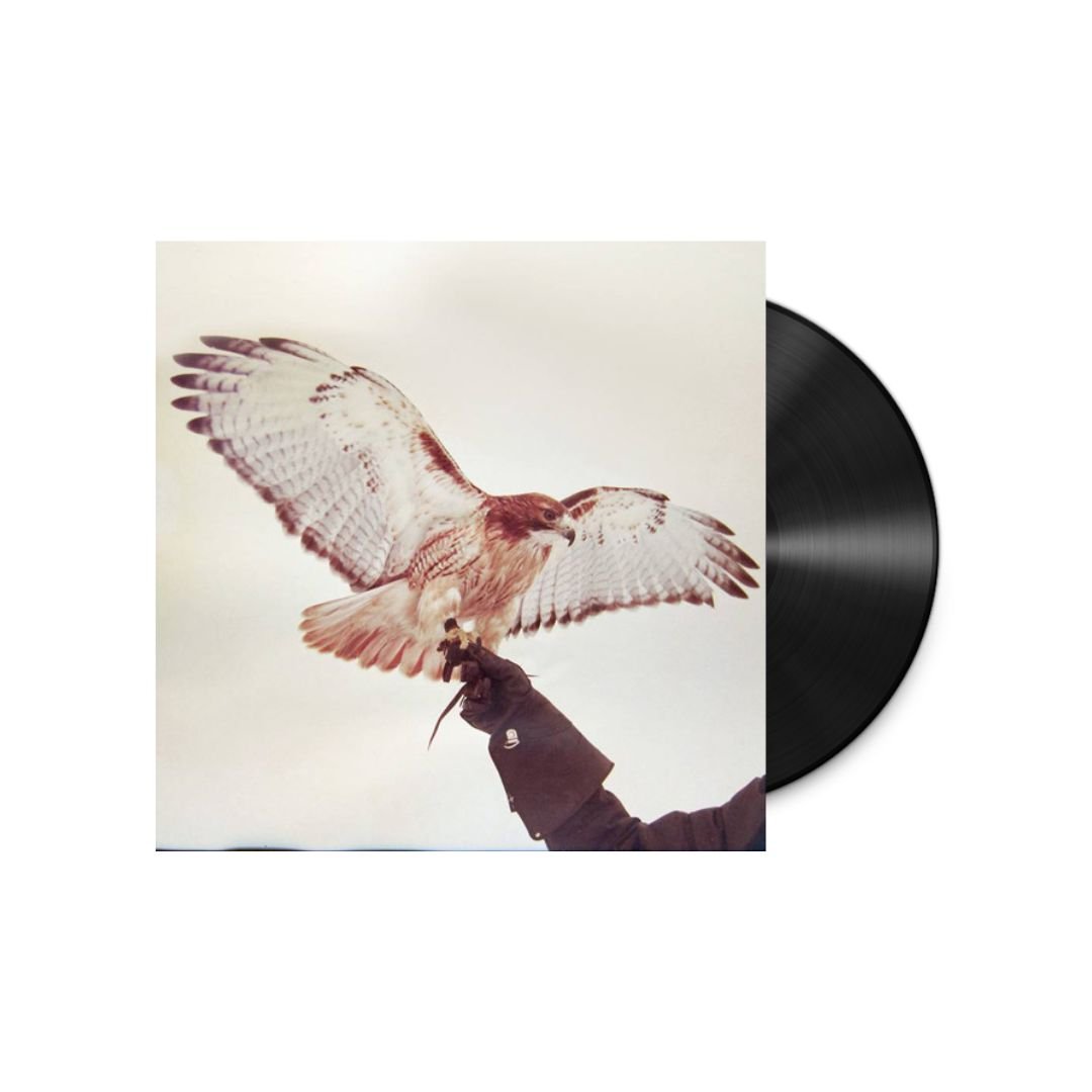 Jm Airis - Wild Birds - BeatRelease