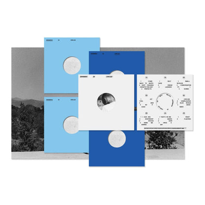 Mac Miller - Swimming In Circles 4xLP Box Set - BeatRelease