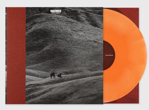 NxWorries – Why Lawd? - Yellow/Orange - BeatRelease