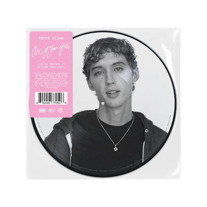 Troye Sivan - One of Your Girls - Picture - BeatRelease