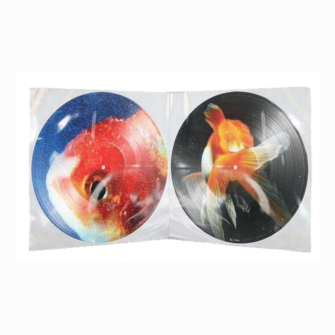 Vince Staples - Big Fish Theory - Picture Disc - BeatRelease